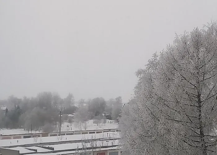 New Johvi Area Design Apartment,renovated 2025, 5min Johvi Centre, 10min Alutaguse,pannjaerve,tartu Maraton,30min Kivioli Slalom Centre * Ahtme